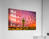 Skies Ablaze Acrylic Print