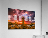 Illuminated Saguaro Acrylic Print