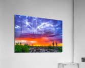 Desert Dreamn Acrylic Print