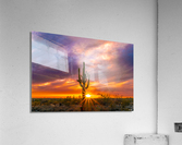 Blazing Saddles Acrylic Print