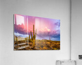 Pink Strike Acrylic Print