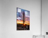 Setting Sun at Lost Dog Acrylic Print