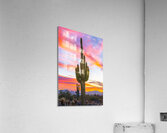Into the Colors Acrylic Print