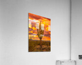 Fire & Brimstone  Acrylic Print