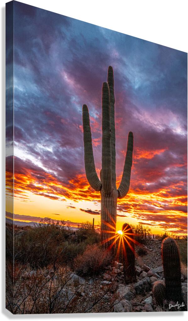 Setting Sun at Lost Dog Canvas Print