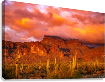 Sunset at Superstition Canvas Print