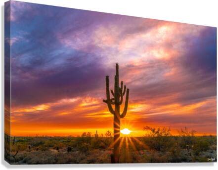 Blazing Saddles Canvas Print