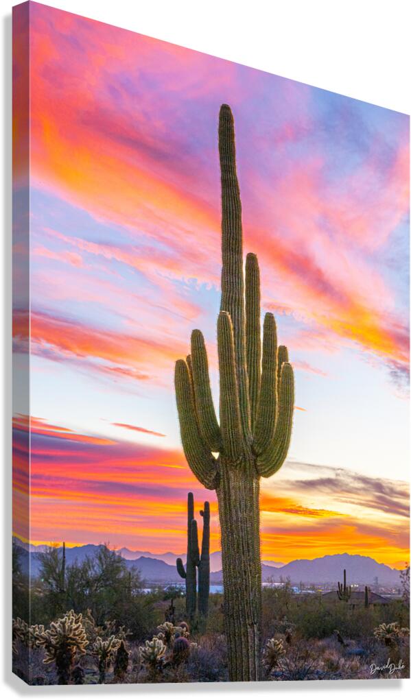 Into the Colors Canvas Print