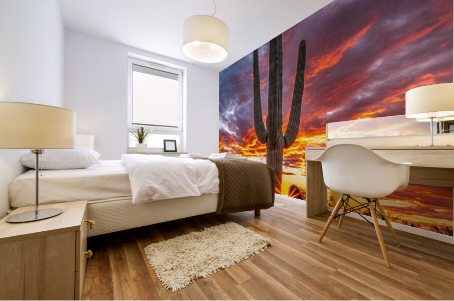 Setting Sun at Lost Dog Mural print