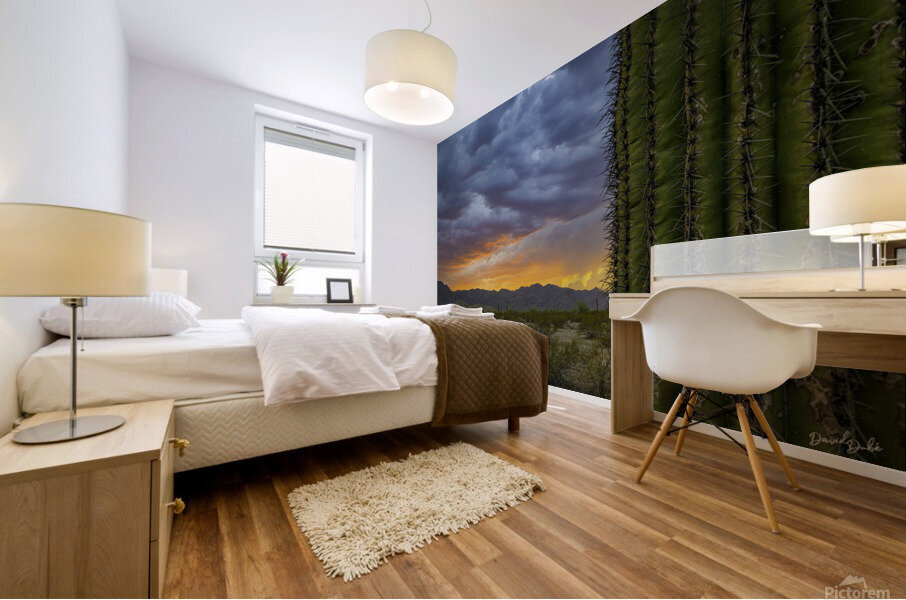 Cactus Fire Mural print