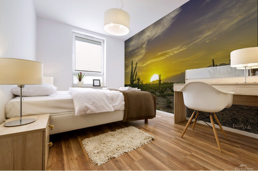 Sunset Over Verrado Mural print