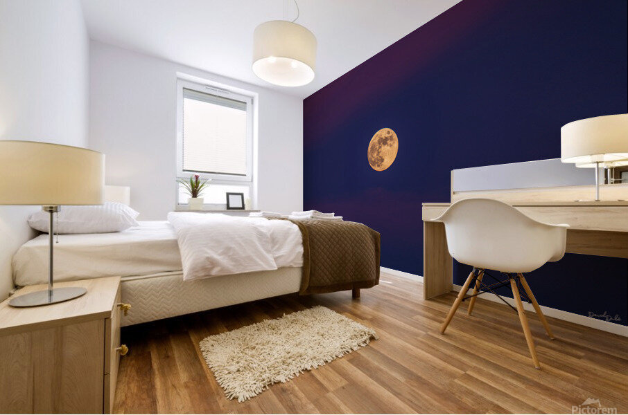 Magnificent Moon Mural print