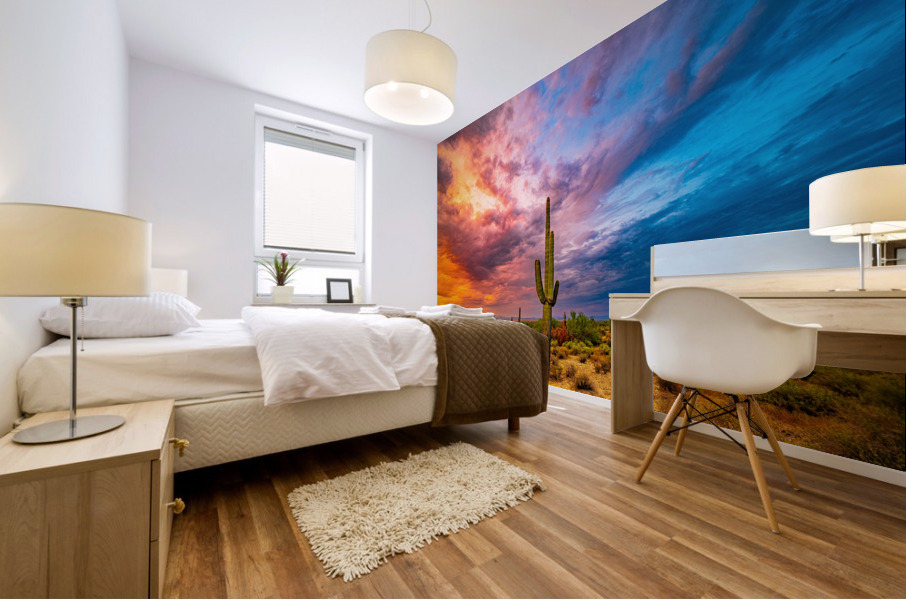 Fire and Ice Mural print
