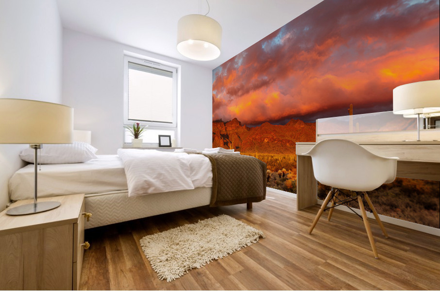 Superstition Panoramic Mural print