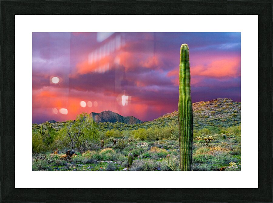 Rain Over McDowell Picture Frame print
