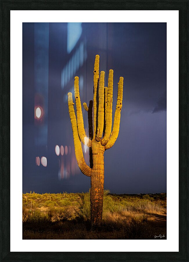 Clouded by Dreams Picture Frame print