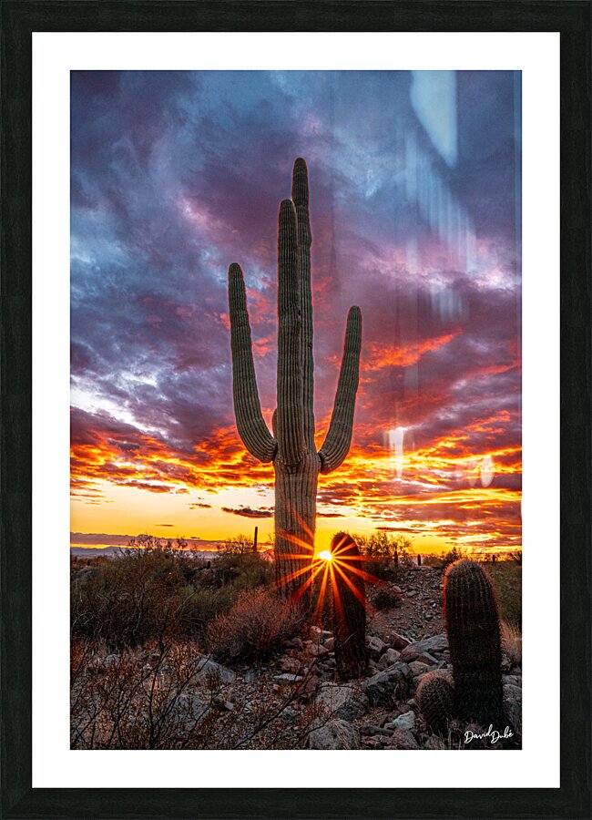 Setting Sun at Lost Dog Picture Frame print