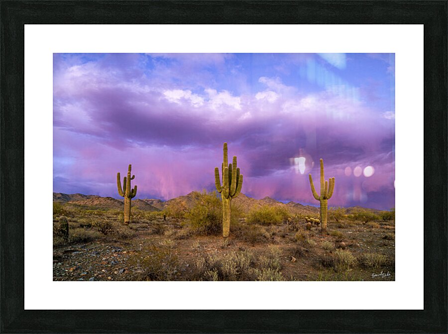 April Showers Picture Frame print