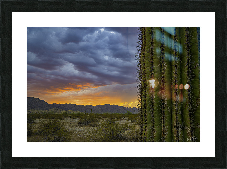 Cactus Fire Picture Frame print