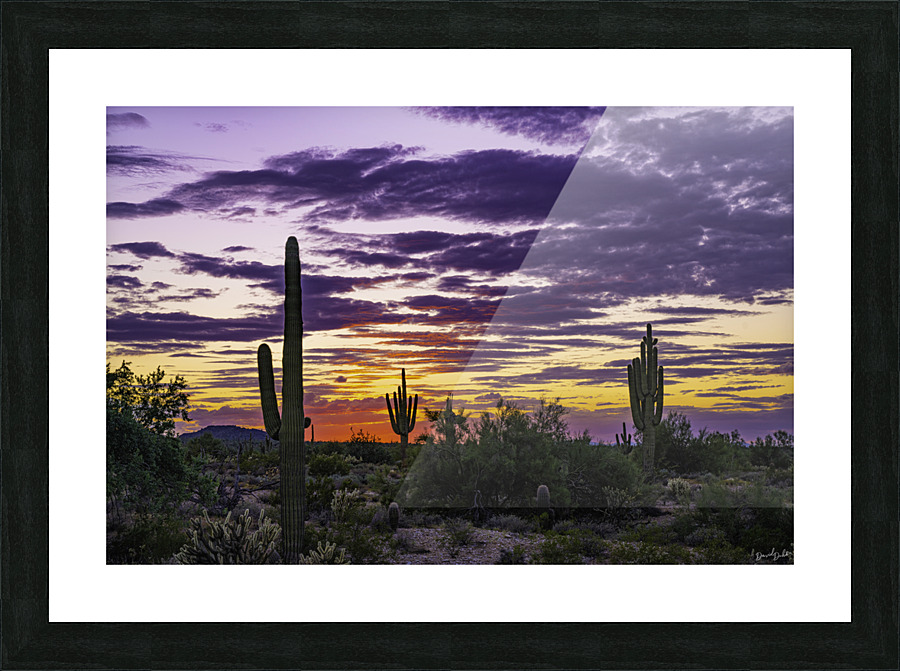 Under the Setting Fire Picture Frame print