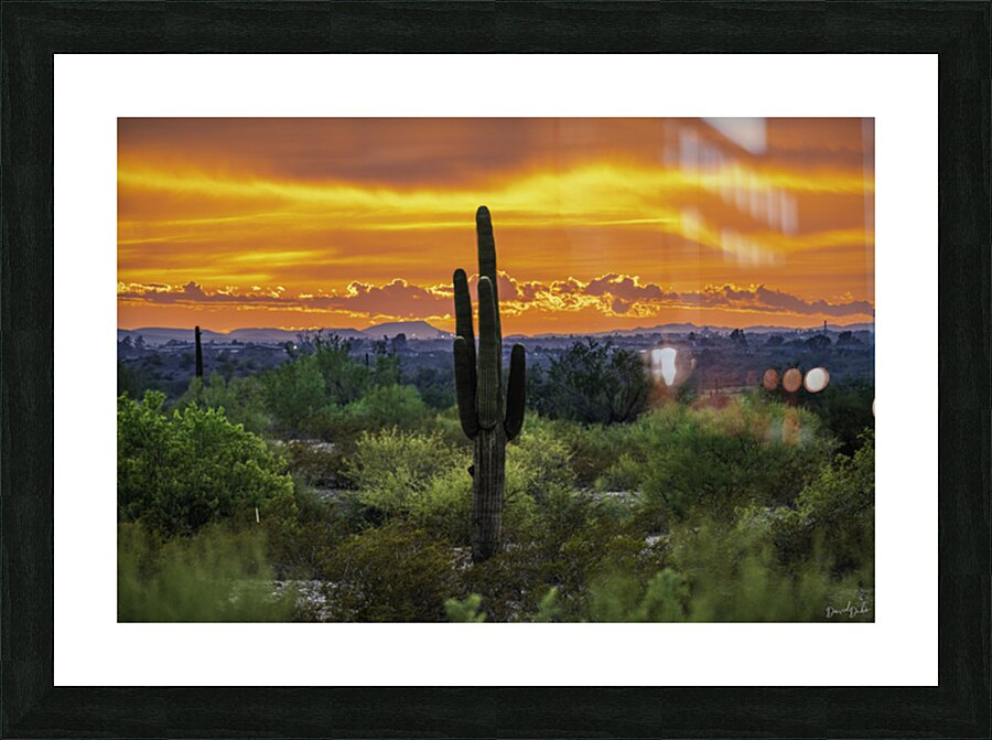 Fire Behind the Cactus Picture Frame print