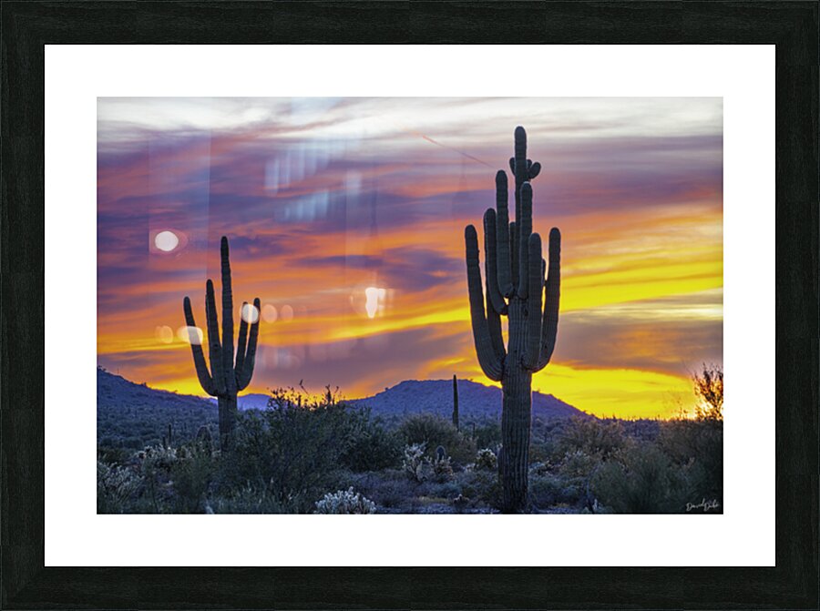 Pink Bliss Picture Frame print
