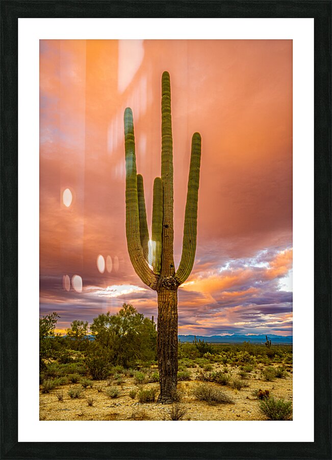 The Tall One Picture Frame print