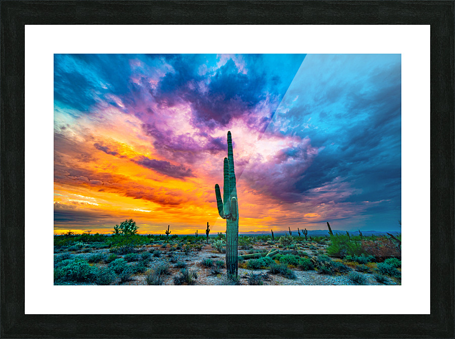 Color Explosion Picture Frame print
