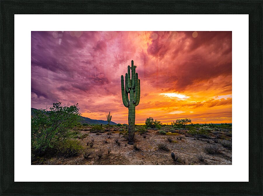Goddess in Glory Picture Frame print