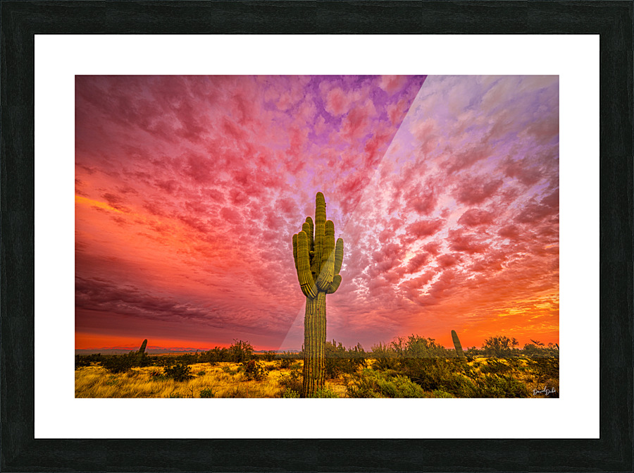 Skies Ablaze Picture Frame print