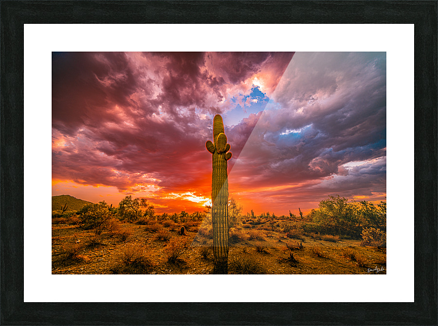 Illuminated Saguaro Picture Frame print