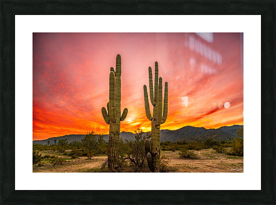 Passionate Couple Picture Frame print