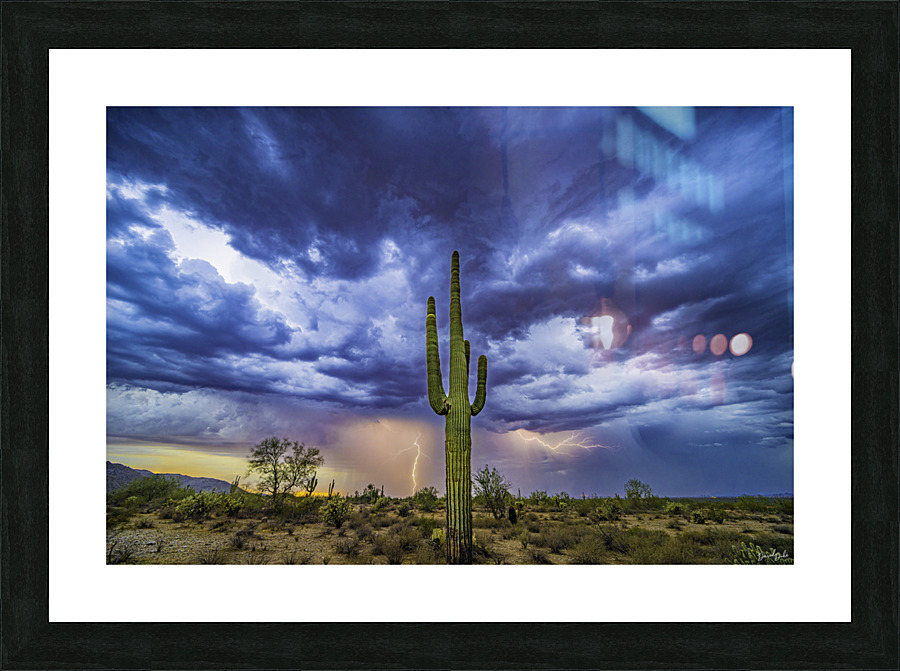 Double Strike Saguaro Picture Frame print