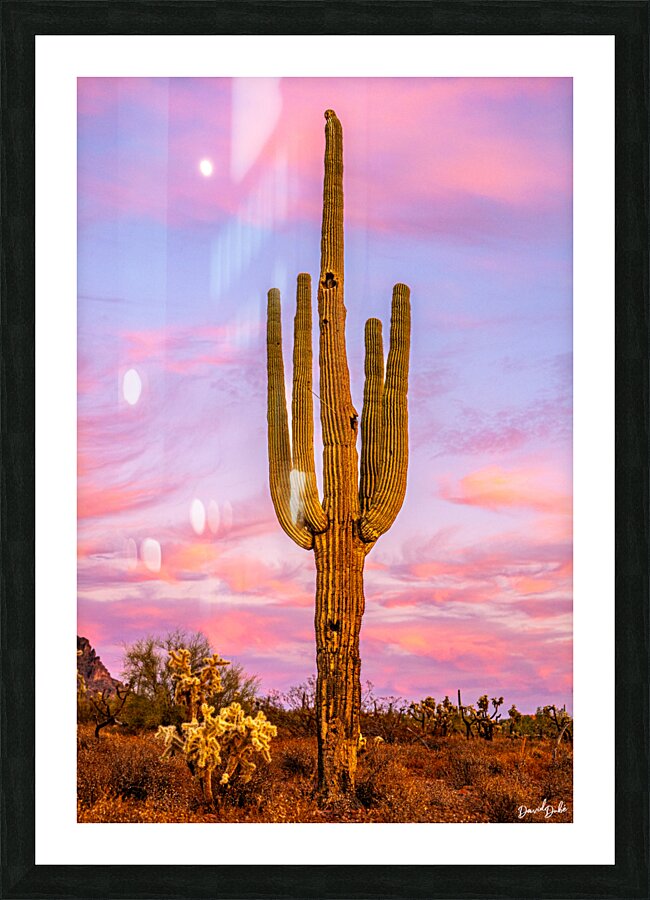 Reaching for the Moon Picture Frame print