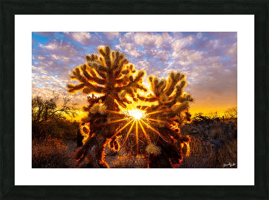 Blazing Star Picture Frame print