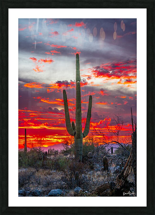 Danger Will Robinson Picture Frame print