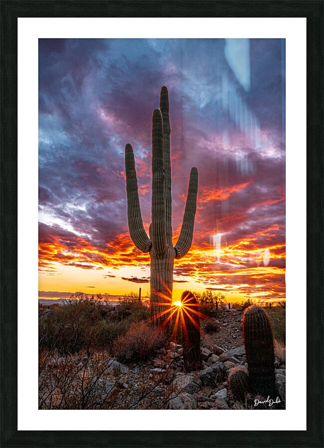 Setting Sun at Lost Dog Picture Frame print