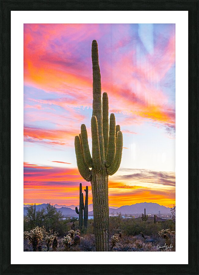 Into the Colors Picture Frame print