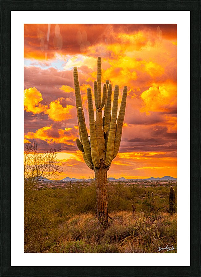 Fire & Brimstone  Picture Frame print