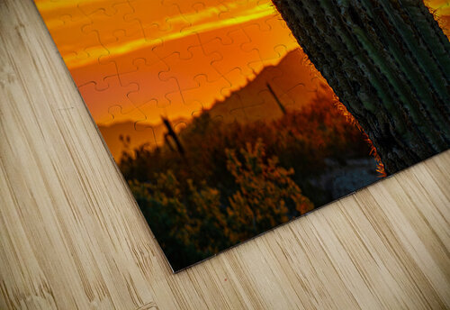 Sunset Saguaro SoapBoxintheSky puzzle