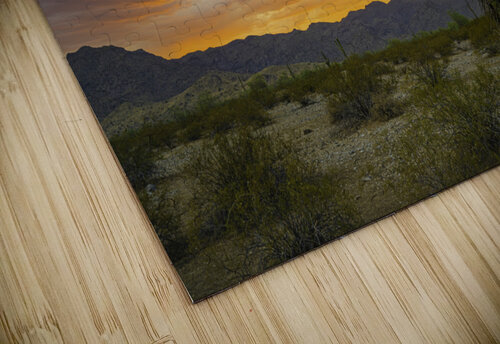Cactus Fire SoapBoxintheSky puzzle