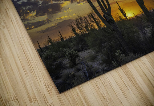 Saguaro Lineup SoapBoxintheSky puzzle