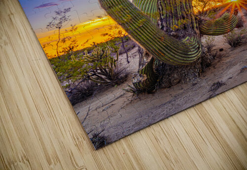 Tangled Sunset SoapBoxintheSky puzzle