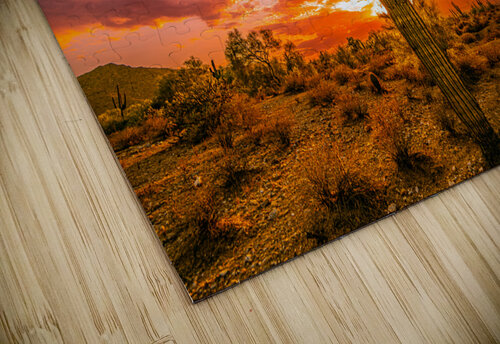 Illuminated Saguaro SoapBoxintheSky puzzle