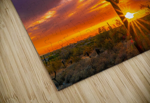 Blazing Saddles SoapBoxintheSky puzzle