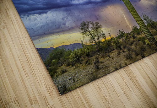 Double Strike Saguaro SoapBoxintheSky puzzle