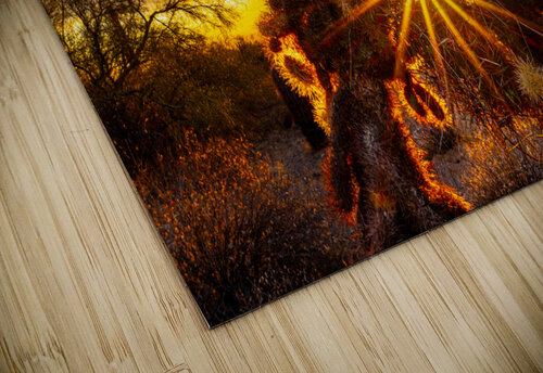 Blazing Star SoapBoxintheSky puzzle