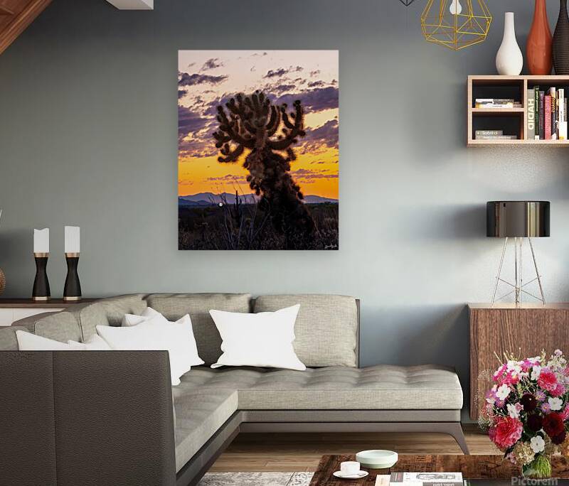 Cholla Sunset Reproduction