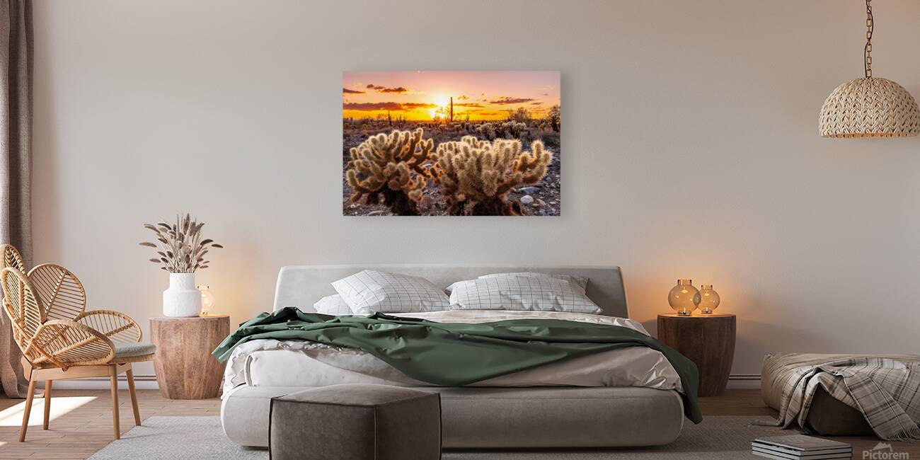 Through the Chollas Reproduction