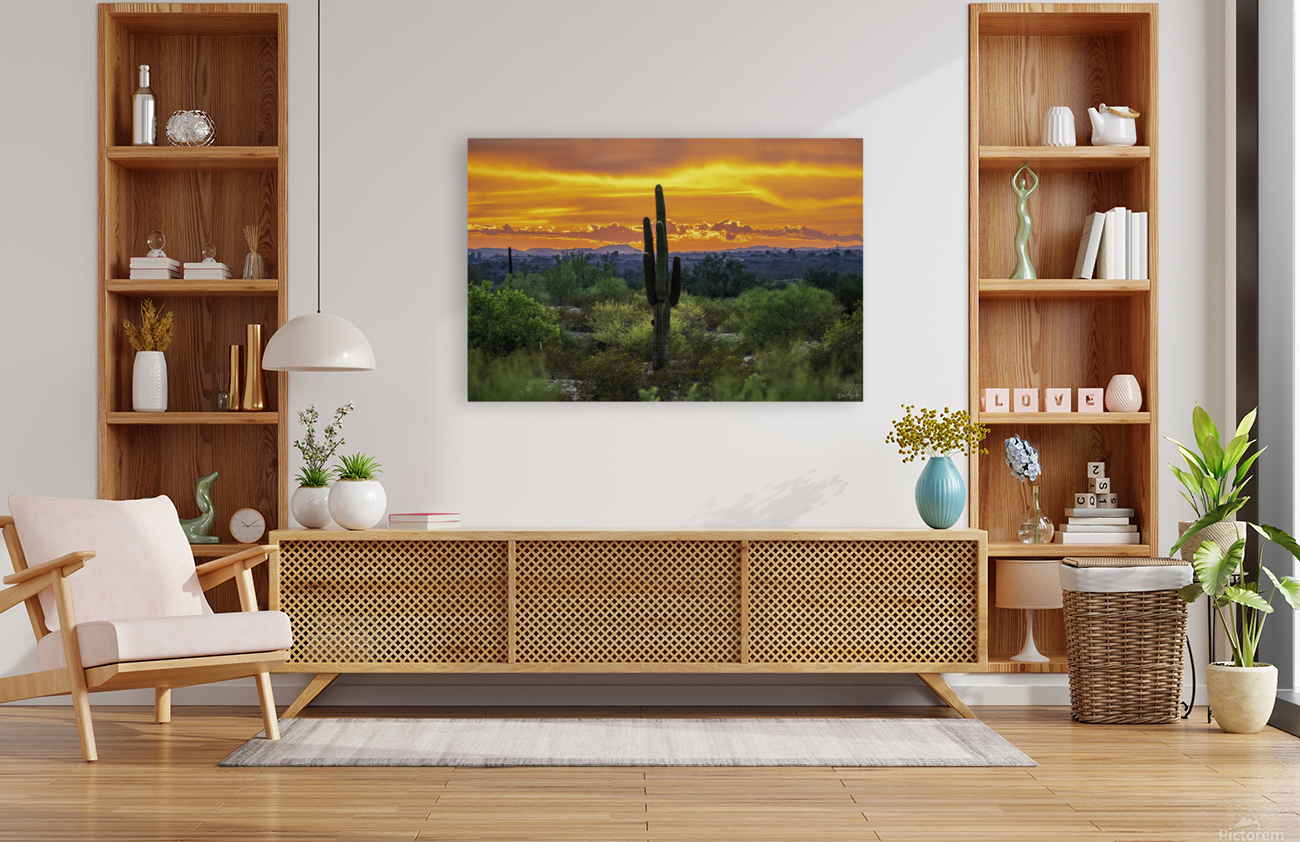 Fire Behind the Cactus Reproduction